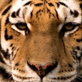Profile picture of Margy Rapier