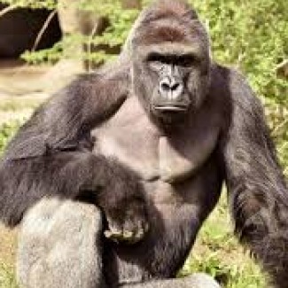 Profile picture of seth sanders