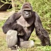Profile picture of Taylor Spurlock