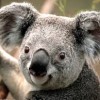 Profile picture of Megan Dixon
