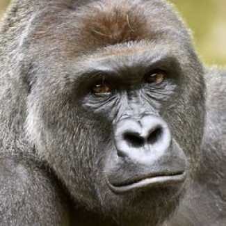 Profile picture of Skylar
