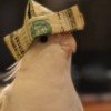 Profile picture of Seth Ritchie