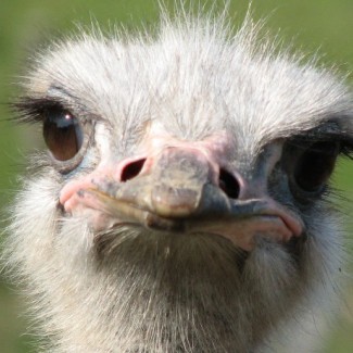 Profile picture of Mitchell pollard