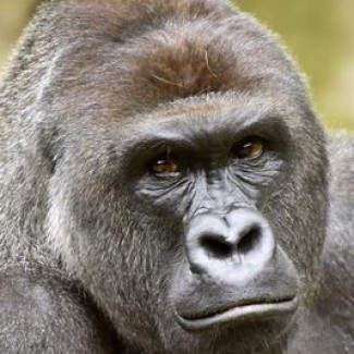 Profile picture of Gage Compton