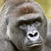Profile picture of Gage Compton