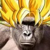 Profile picture of Dalton Johnson