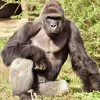 Profile picture of Hunter Nease