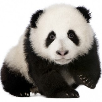 Profile picture of Haley Scearse