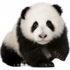 Profile picture of Haley Scearse