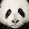 Profile picture of Kerrynton