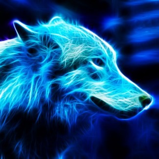 Profile picture of Stone