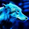 Profile picture of Stone
