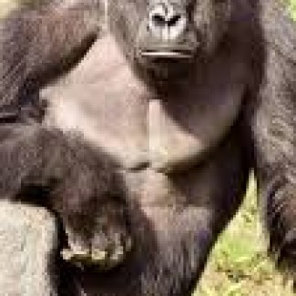 Profile picture of stephen farmer