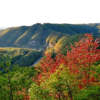 Profile picture of issacswiney