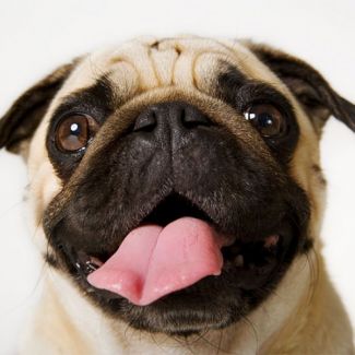 Profile picture of Paul