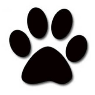 Profile picture of Rebial Reynolds
